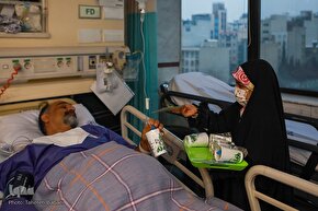 عاشقان بهار؛ در انتظار ظهور