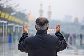 استوری موشن | هرکس که شد غلام تو عالیجناب شد
