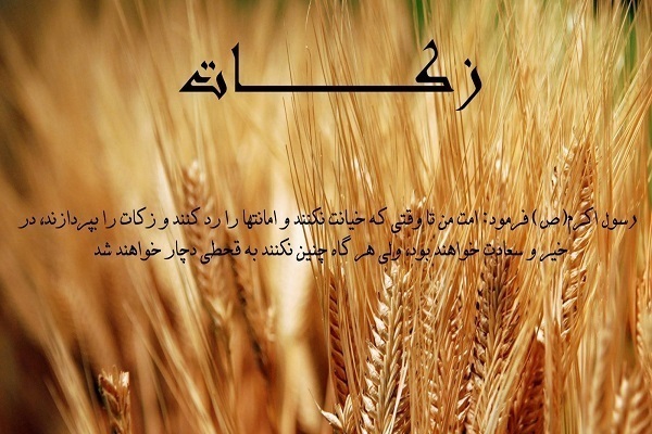 زکات