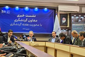 طرح جدید «سفر ارزان» به دولت ارائه می‌شود