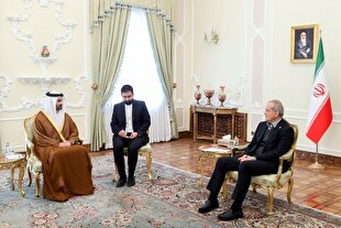 جایگزین‌کردن اختلافات با وحدت، ضرورتی راهبردی برای کشورهای اسلامی است