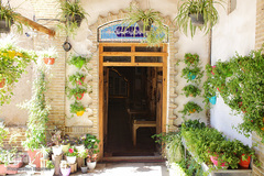 باغ موزه گیاهان دارویی و معطر زنجان