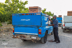 اهدای ۱۱۰ جهیزیه به نو عروسان زنجانی 