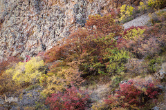 طبیعت پاییزی طارم