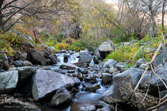 طبیعت پاییزی طارم