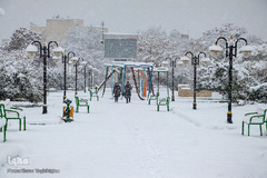 بارش اولین برف پاییزی - زنجان