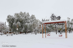 بارش اولین برف پاییزی - زنجان