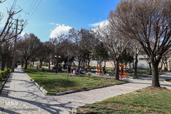 روز طبیعت در زنجان