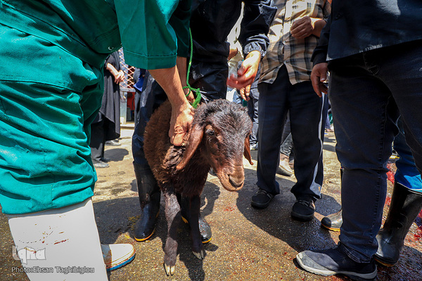 دومین قربانگاه بزرگ جهان اسلام - زنجان