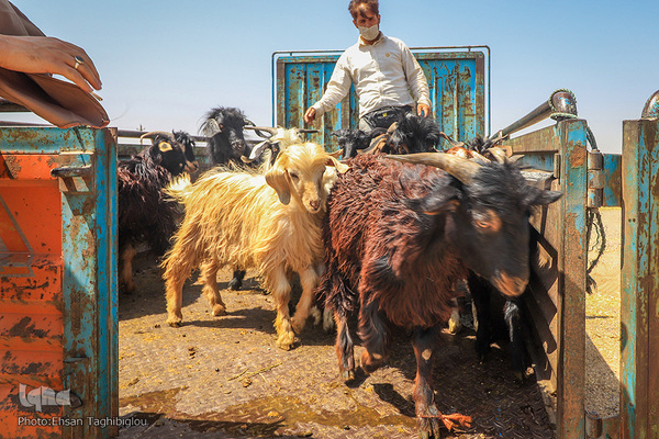دومین قربانگاه بزرگ جهان اسلام - زنجان