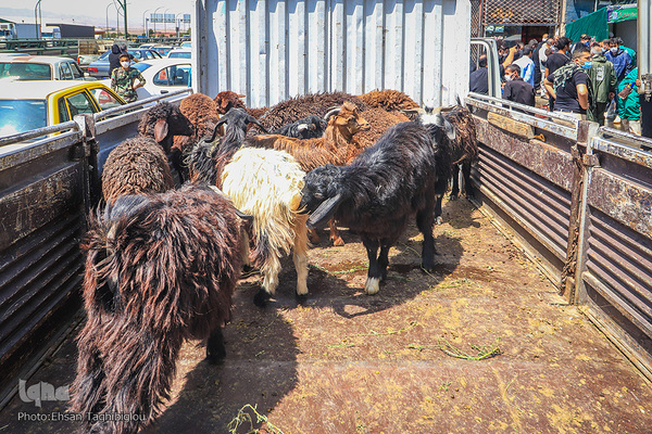 دومین قربانگاه بزرگ جهان اسلام - زنجان