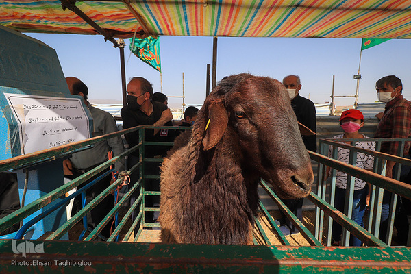 دومین قربانگاه بزرگ جهان اسلام - زنجان