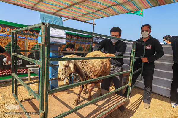 دومین قربانگاه بزرگ جهان اسلام - زنجان