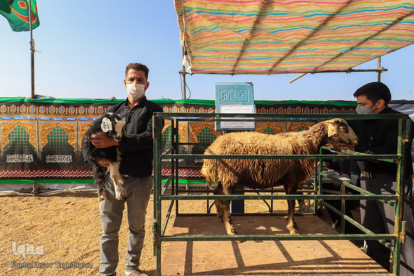 دومین قربانگاه بزرگ جهان اسلام - زنجان