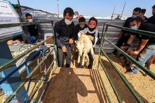 دومین قربانگاه بزرگ جهان اسلام - زنجان