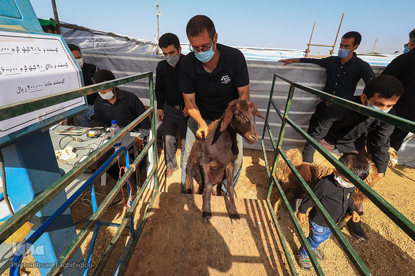 دومین قربانگاه بزرگ جهان اسلام - زنجان