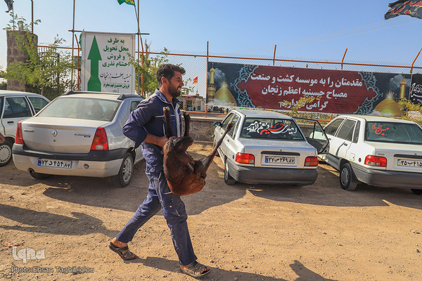 دومین قربانگاه بزرگ جهان اسلام - زنجان