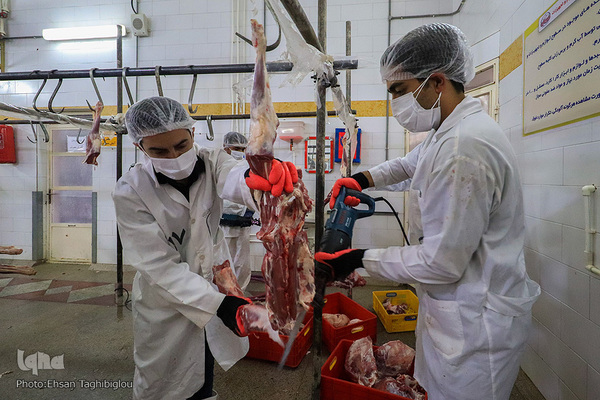 آغاز بسته بندی گوشت نذری حسینیه اعظم زنجان