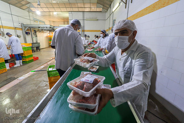 آغاز بسته بندی گوشت نذری حسینیه اعظم زنجان