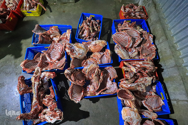 آغاز بسته بندی گوشت نذری حسینیه اعظم زنجان