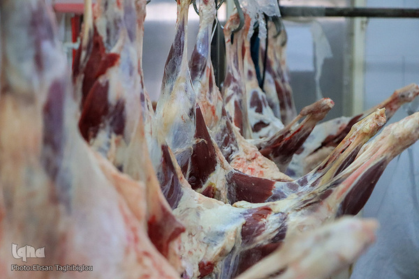 آغاز بسته بندی گوشت نذری حسینیه اعظم زنجان