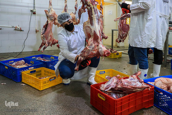 آغاز بسته بندی گوشت نذری حسینیه اعظم زنجان