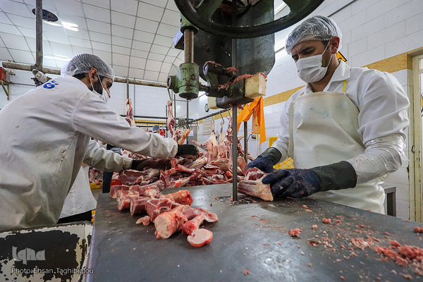 آغاز بسته بندی گوشت نذری حسینیه اعظم زنجان