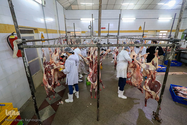 آغاز بسته بندی گوشت نذری حسینیه اعظم زنجان