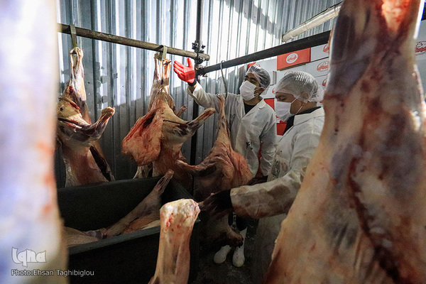 آغاز بسته بندی گوشت نذری حسینیه اعظم زنجان