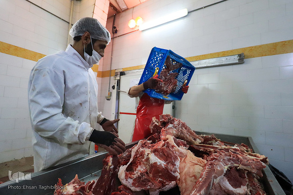 آغاز بسته بندی گوشت نذری حسینیه اعظم زنجان