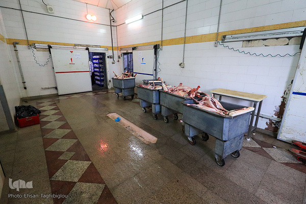 آغاز بسته بندی گوشت نذری حسینیه اعظم زنجان