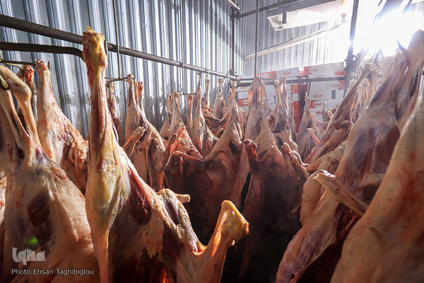 آغاز بسته بندی گوشت نذری حسینیه اعظم زنجان