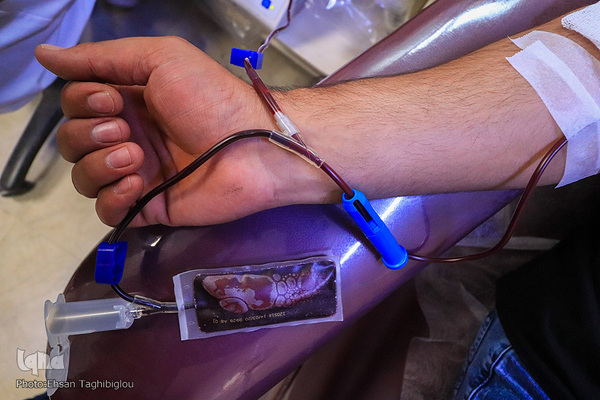 پویش نذر خون در زنجان‎‎