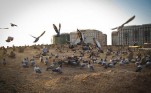 Storia del cimitero "Jannat Al- Baqi " di Medina