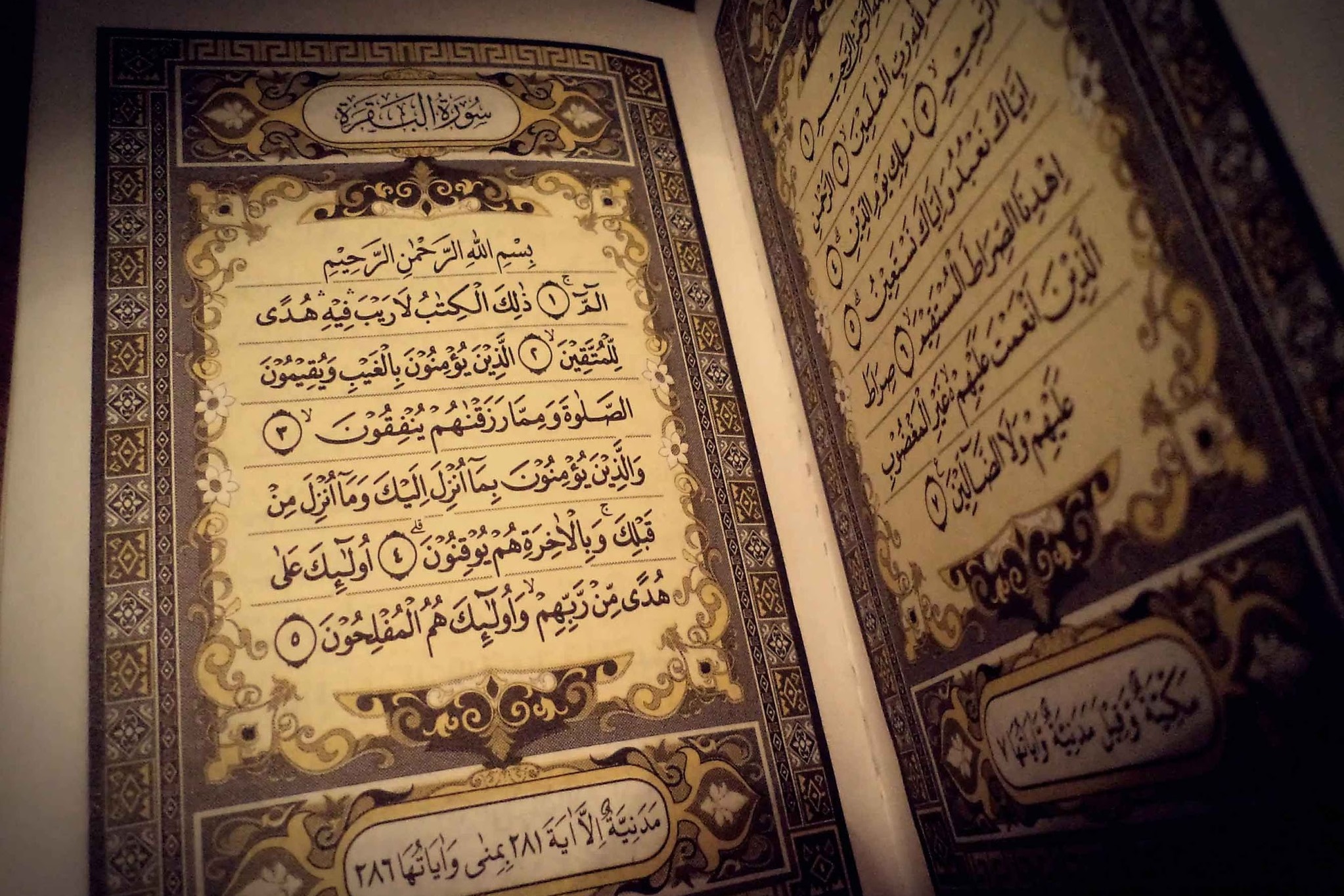 La Luce del Corano-Esegesi del Sacro Corano,vol 1 - Parte 146 - Sura Al-Bagharah - versetto 250