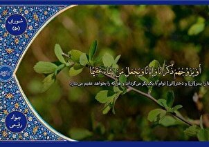 Tilawah “Javad Rafiei