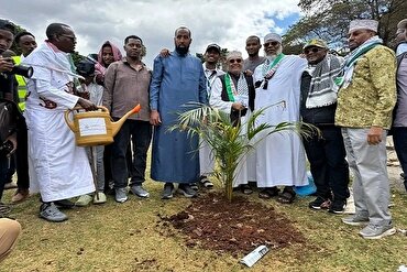 Waislamu Wapanda Miti 10,000 Jijini Nairobi Kuonesha Mshikamano na Palestina