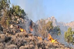 Türkiye'nin İran'a gönderdiği yangın söndürme uçakları göreve başladı