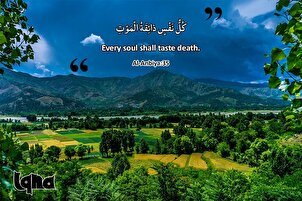 آیات زندگی : موت سے فرار کیے بغیر