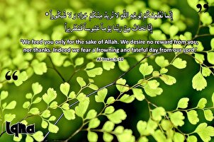 آیات زندگی: ایک سخت فیصلے کا دن