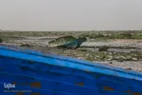 خشکسالی، لمیده بر «تخت عدالت»